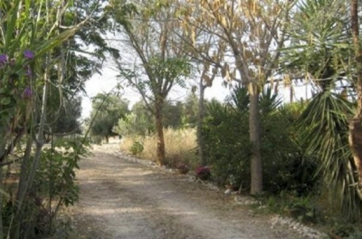 דיסקרטי בכפר דרום 15